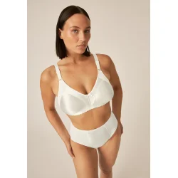 Minimizer Soft BH Champagne