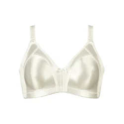 Minimizer Soft BH Champagne