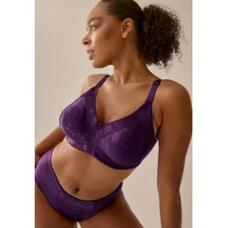 Minimizer Soft BH Blomme