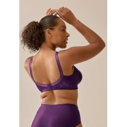 Minimizer Soft BH Blomme