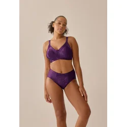 Minimizer Soft BH Blomme