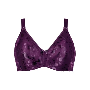 Minimizer Soft BH Blomme